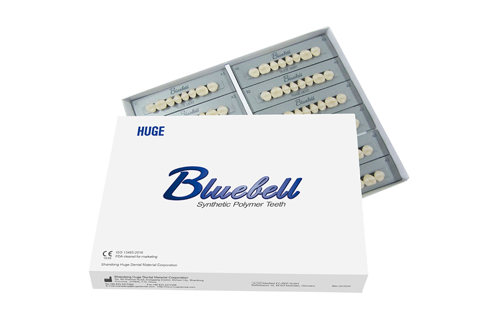 Bluebell Posterior 8×1×12/Box