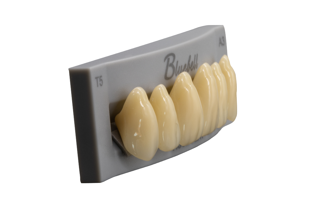 Bluebell Posterior 8×1×12/Box