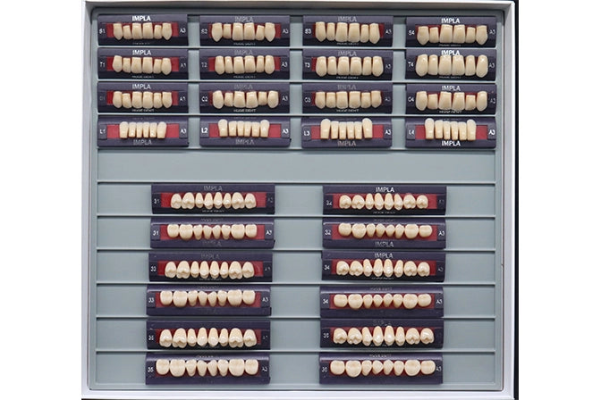 Guía de moldes para dientes vivos