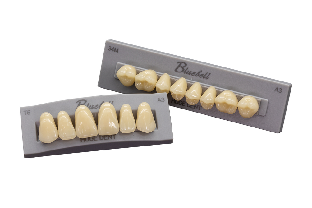 Polymer Tooth Synthetic Polymer Teeth — HUGE Dental