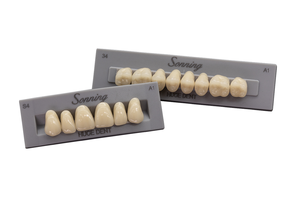 Polymer Tooth Synthetic Polymer Teeth — HUGE Dental