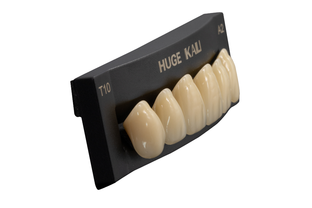 Polymer Tooth Synthetic Polymer Teeth — HUGE Dental